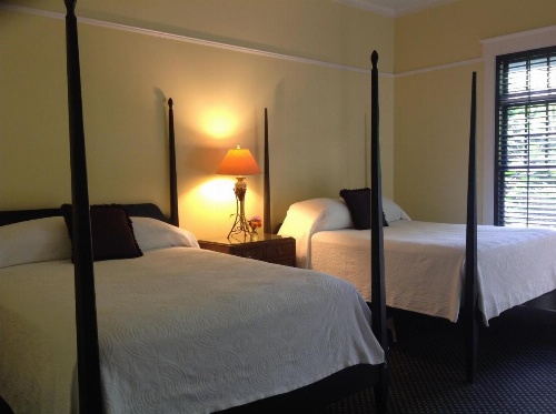 OM Sanctuary Holistic Retreat image 44